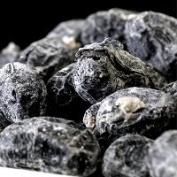 訳あり☆無選別!高級丹波黒豆しぼり甘納豆どっさり600g≪常温商品≫