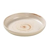 Genérico 1 Piezas 23,4 cm Platos Llanos de Porcelana Platos de Cena para 1 Personas,Blanca,22.5 * 3.5
