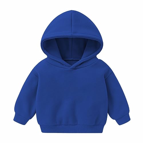 Kids Girls Thicken Hoodie Crewneck Zip Up Cotton Pullover Long Sleeve Warm Winter Outwear Casual Sweatshirt With Pocket