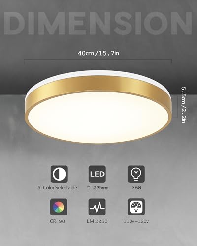 Image of Ken & Ricky 16 inch Modern Flush Mount Ceiling Light,Brush Gold,1 Pack