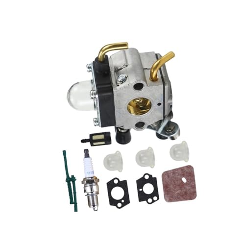 Carburateur de tondeuse pour un entretien facile du jardin de la gamme FS55 FS80