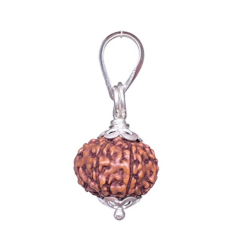 Image of REBUY 8 Mukhi Rudraksha Pendant Indonesian /Java Rudraksha Lab Certified Original Rudraksha Pendant for Men & Women, Origin Indonesian, Color Brown