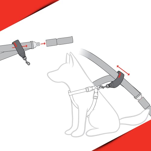 EzyDog Anschnaller Adapter – Hundeanschnaller für Auto, kompatibel mit Hundegeschirr, aus robustem Nylon-Gurtband, für sichere Autofahrten mit Hund (Schwarz)