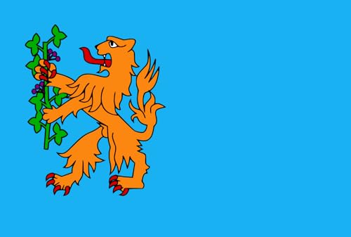Drapeau Brummen indéchirable format paysage pour mât exposé au vent - 2