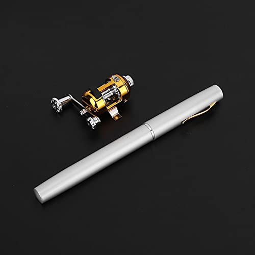 Pwshymi Pocket Fishing Rod, Pen Fishing Rod Reel Combo Set Portable Mini Collapsible Fishing Pole with Reel Wheel for Saltwater Freshwater Fishing Pole and Reel Combo (Silver)