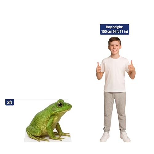 Image of Frog 2FT Life Size Cardboard Cutout - A Fun Animal Standup for Photo Booths, Birthday Parties, and Events