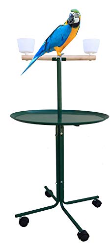 Large 47" Metal Base Parrot Bird Cage Amazon African Grey Macaw Cockatoo Play