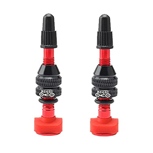 Exnemel 2 Pezzi Valvola Tubeless, 40/60mm