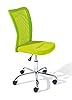 Inter Link - Sedia da ufficio per bambini - Sedia ergonomica girevole - Altezza regolabile - Base in metallo cromato - Rivestimento in tessuto Mesh traspirante - Girevole a 360° - Verde - Bonnie