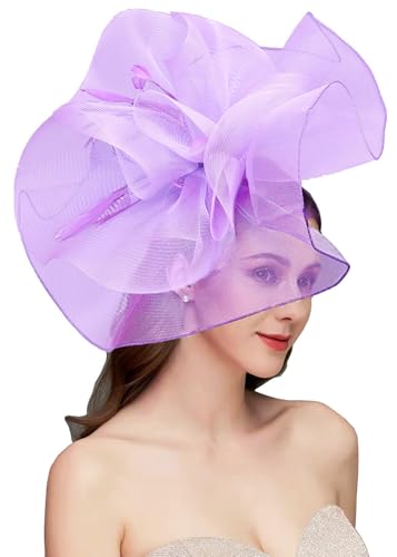 RZTA Womens Fascinators Hat for Women Tea Party Headband Wedding Cocktail Flower Mesh Feathers Hair Clip 01 Light Purple