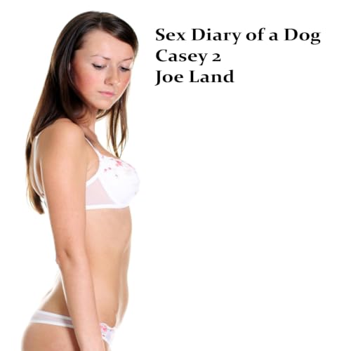 Casey 2 cover art