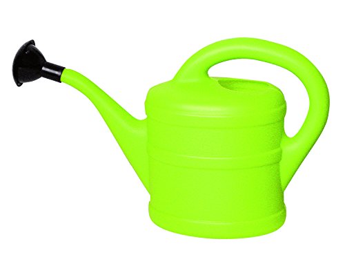 Preisvergleich Produktbild Geli Kunststoff-Gießkanne 1 L, mintgrün, 70200131