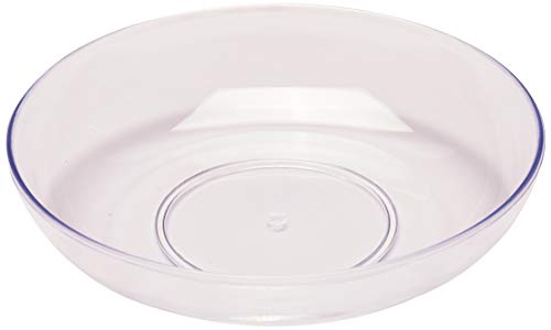 Best Glass Bowl For Plants
