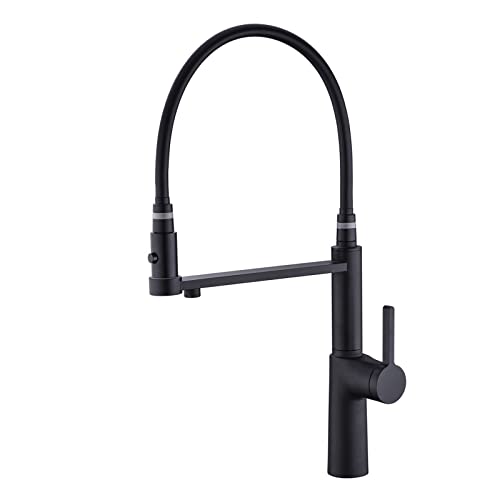 Robinet de cuisine avec pulvérisateur et filtre pour éliminer les carafes encombrantes