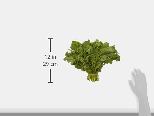 Organic Broccoli Rabe Rapini, One Bunch