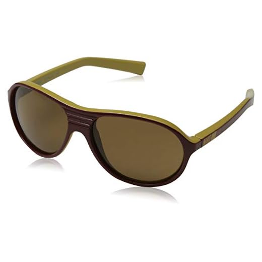 NIKE Gafas de Sol burdeos/crema/marrón Única