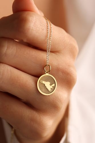 Colgante de halcón para cumpleaños un regalo de joyería de plata inolvidable 3