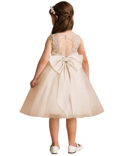 Elegant Bow Knot Flower Girl Dresses with Applique Summer Crewneck Tulle Formal Wedding Party Mini Dress