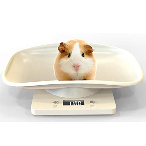 Cemaystic @\fW^ybg̏dv 1kg XeX obNCgt