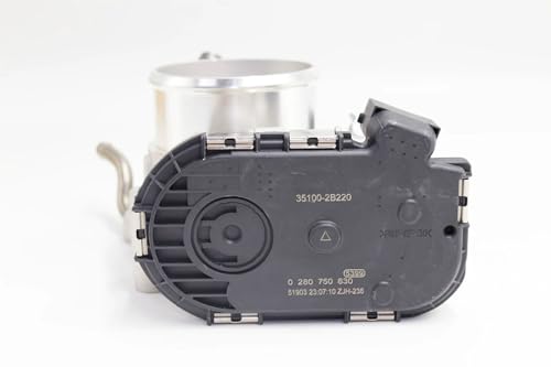 Corps de papillon électronique de précision 351002B220 pour bloc Kia