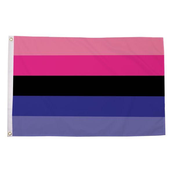 Flagtex Omnisexual Large Pride Flag 8ft x 5ft LGBTQ Pride Flag Pink Purple Blue Stripes Fade Resistant Polyester Double Stitched Reinforced 240cm x 150cm Outdoor Banner Display