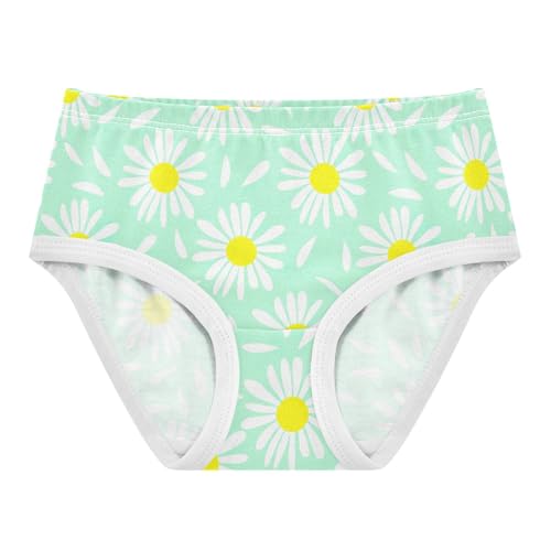 Joisal Toddler Girls Underwear 2t Cotton Panties Little Girl Personalized Underpants Briefs Pastel Daisy Mint Green