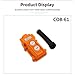 HanOaki COB-61/63 Waterproof Control Switch for Crane and Electric Hoist, Rubber ABS Button with Clear Labeling, 2A/5A Current Rating, Industrial Use(COB-61)