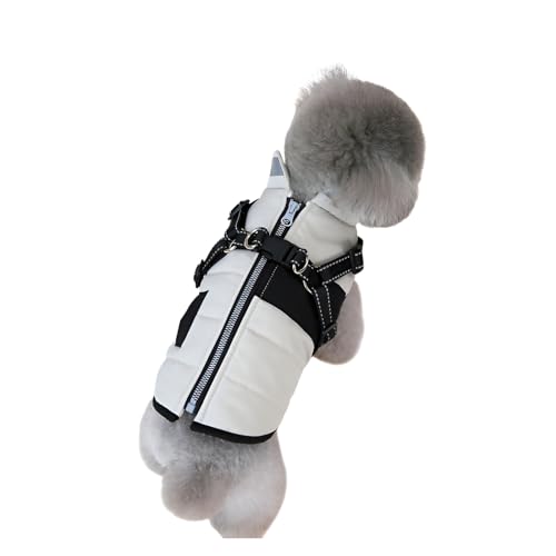 [Ellniges]�y�� �E�C���^�[�R�[�g�z24�_�h���Z�b�g ����ȑf�� �n�[�l�X��̉��^ ���^��~���^���p �~�̎U���R�[�f �u���[/�s���N/�x�[�W�� �S�T�C�Y�Ή� S