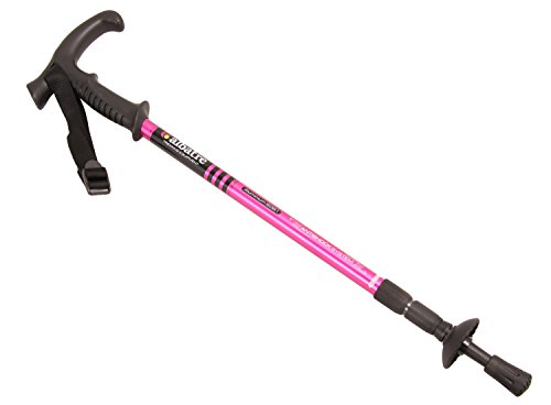 ALBATRE(アルバートル) アルミトレッキングポール シングル (T型グリップ) ALTTP2211 マゼンタ ALBATRE(アルバートル) アルミトレッキングポール シングル (T型グリップ) ALTTP2211 マゼンタ