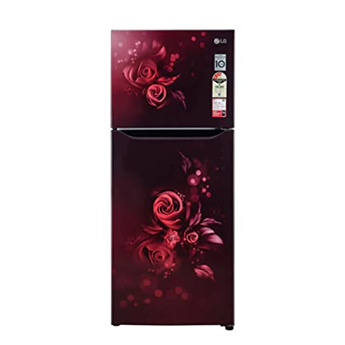 Image of LG 284 Litres 2 Star Standard Double Door Refrigerator (Scarlet Euphoria, GL-S302SSEY)