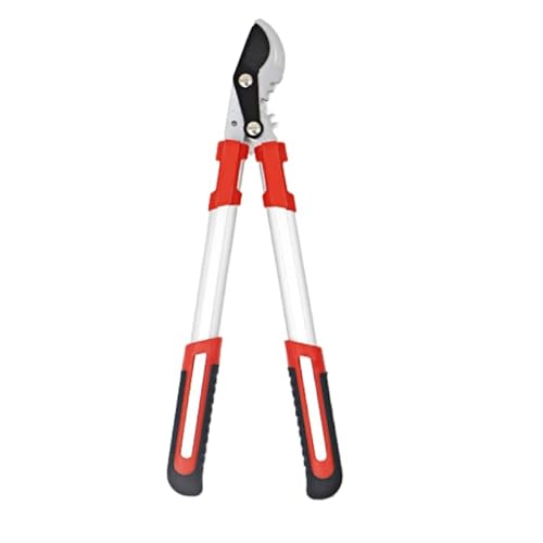  Lk 68~100cm |  ؂؂ a50mm  |pi (50cmiLkj) [sAi]