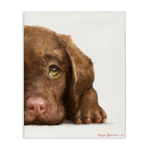 Stupell Industries Chocolate Labrador Puppy, 16 x 20 Inch Canvas Wall Art