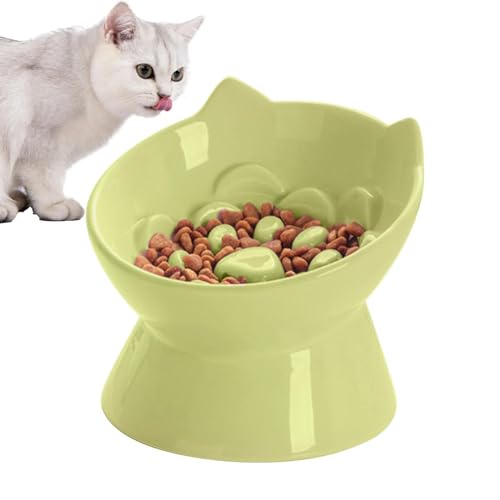 Écuelle en céramique de repas surélevée pour chat au design épuré