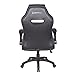 NEWSKILL Nayuki Silla Gaming