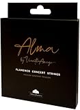 Solera Flamenca STRINGS