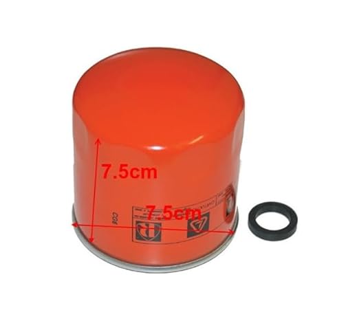 FILTRO DIESEL LOMBARDINI BELLIER CHATENET LIGIER MICROCAR TASSO Universal