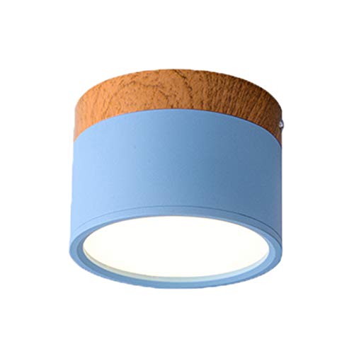 Plafoniera Led Soffitto, Plafoniere da Soffitto Luci a soffitto Lampada a soffitto in ferro moderno per soggiorno camera da letto camera per bambini corridoio corridoio a spot punto luce(Sky Blue,NEUT