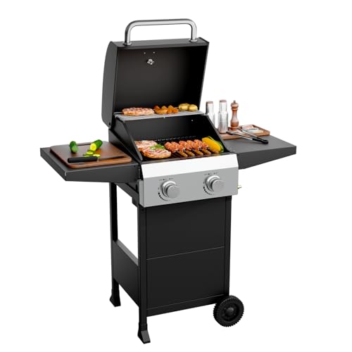 ROVSUN 2 Burner Propane Gas Grill with Foldable Side Shelves 24000BTU BBQ Grills with Enameled Cast Iron Grates Cabinet & Poratable Rolling Wheels for Outdoor Garden Patio Backyard Barbecue Cooking