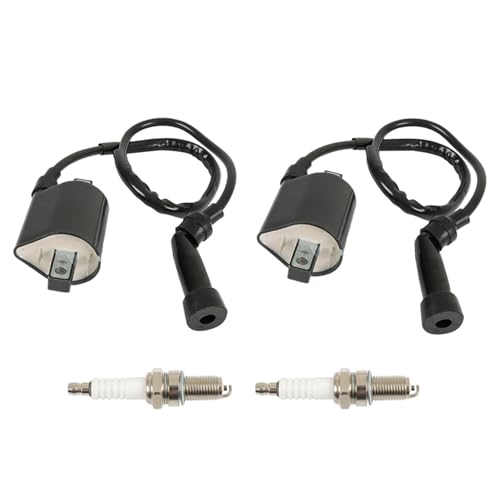 labwork 2 x Ignition Coil Replacement for Suzuki Intruder VS1400 1987-2009 VL1500 1998-2004