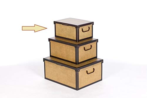 Lavatelli Baulino Tapirus, decorative storage box, cardboard storage boxes with lids, storage boxes with lids and Handles, clothes storage, toy box storage, storage baskets, teddy storage, Brown, - Cosy Home Interiors Lavatelli Baulino Tapirus, decorative storage box, cardboard storage boxes with lids, storage boxes with lids and Handles, clothes storage, toy box storage, storage baskets, teddy storage, Brown, - Image 3