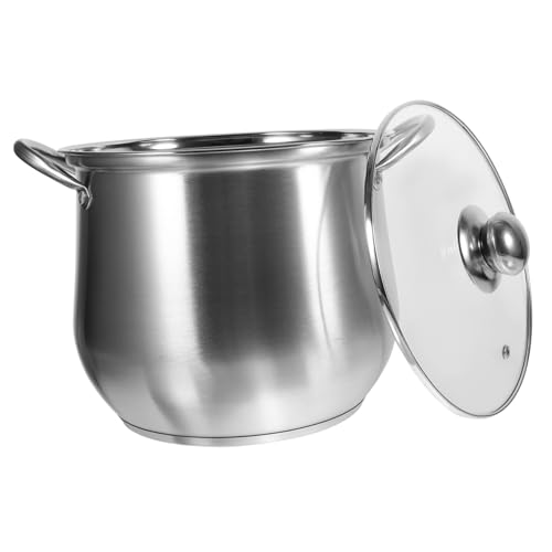 Toyvian Olla Grande de Acero Inoxidable con Doble Asa Cacerola Multifunción para Sopa y Fideos Resistente y Fácil de Limpiar Compatible con Cocina de Gas y Vitrocerámica Tapa Aleatoria