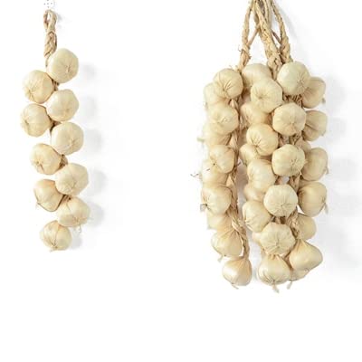 1 lHUt[cAȖAM^}lMjjNgERVԓhqCJLb` (Color : 1)