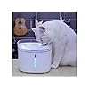 Automatic Pet Water Fountain