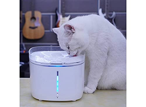 Automatic Pet Water Fountain