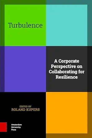 Turbulence: A Corporate Perspective on Collaborating for Resilience book cover