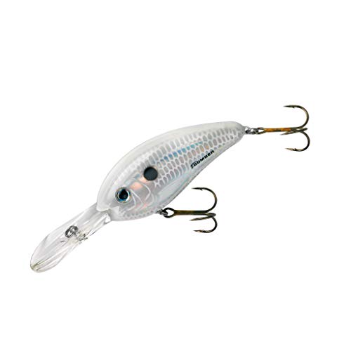Top 12 Best lures for white bass Your Buyer s Guide Fathers Work