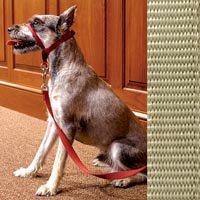 Gentle Leader Quick Release System, Extra Large, Fawn