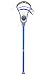 Warrior 2017 Evo Mini Stick (Royal)