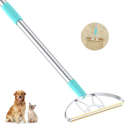 LINTPLUS Pet Hair Remover for Carpet