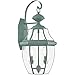 Livex Lighting 2251-06 Outdoor Wall Lantern with Clear Beveled Glass Shades, Verdigris